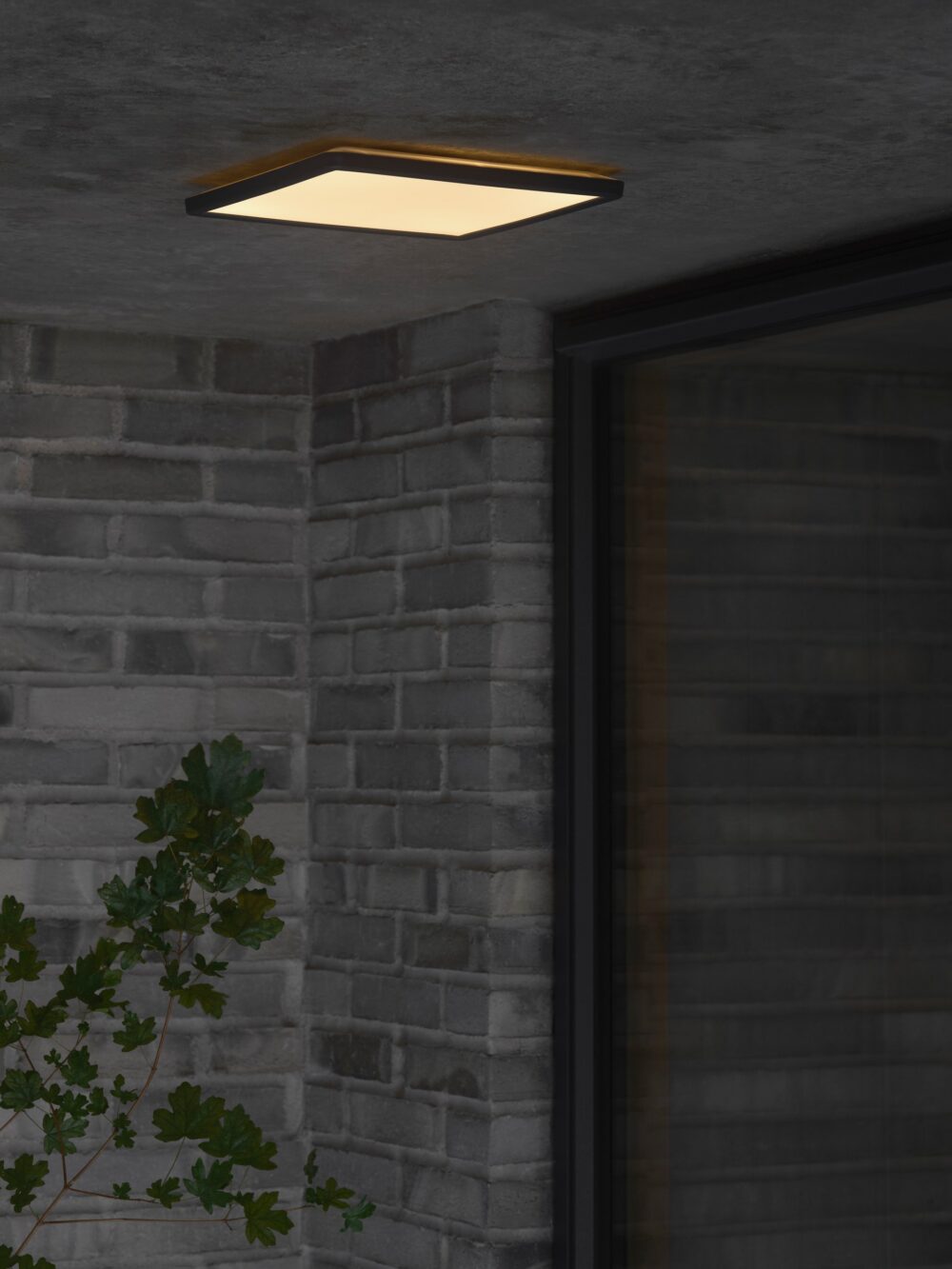 Oja 29 Outdoor Square | Ceiling light | Black
